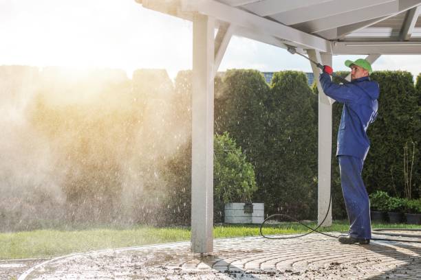 Best House Exterior Washing  in Las Lomas, TX