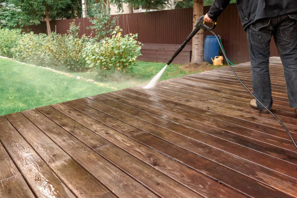 Best Driveway Pressure Washing  in Las Lomas, TX