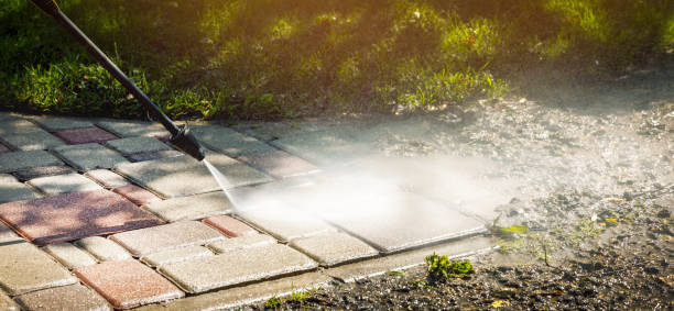 Best Animal Enclosure Cleaning  in Las Lomas, TX