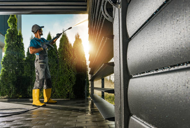 Best Sign and Awning Cleaning  in Las Lomas, TX